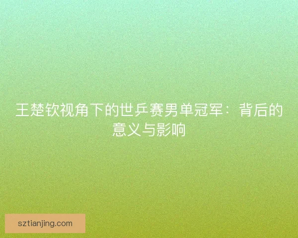 王楚钦视角下的世乒赛男单冠军：背后的意义与影响
