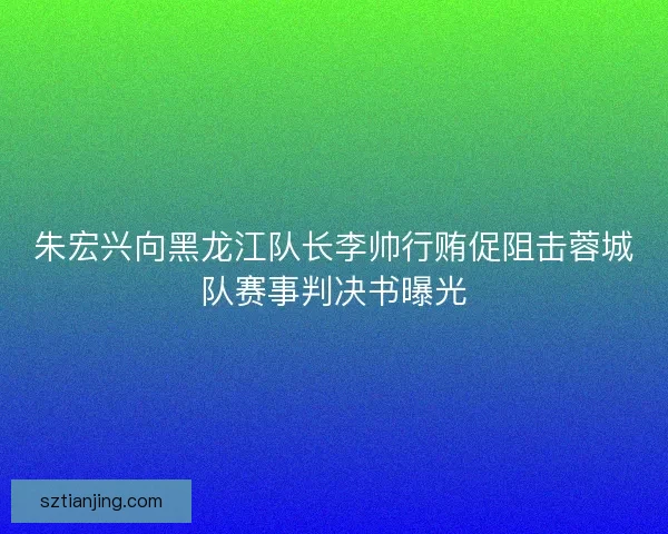 朱宏兴向黑龙江队长李帅行贿促阻击蓉城队赛事判决书曝光