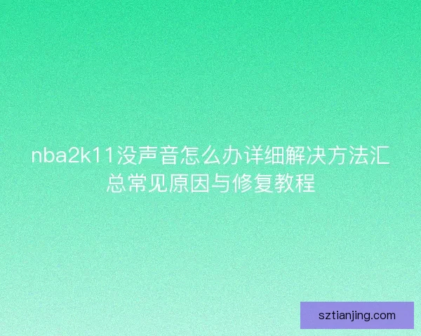 nba2k11没声音怎么办详细解决方法汇总常见原因与修复教程 nba2k11没声音怎么办详细解决方法汇总常见原因与修复教程