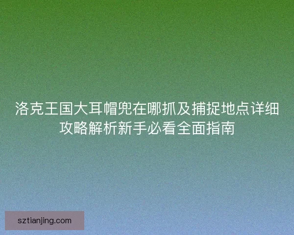 洛克王国大耳帽兜在哪抓及捕捉地点详细攻略解析新手必看全面指南