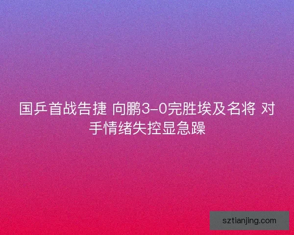 国乒首战告捷 向鹏3-0完胜埃及名将 对手情绪失控显急躁