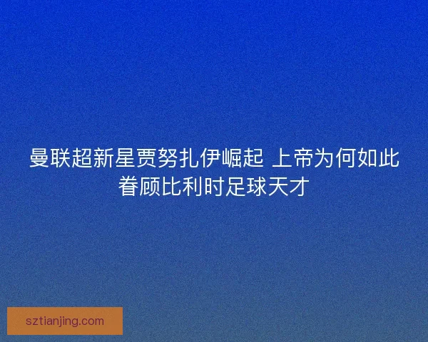 曼联超新星贾努扎伊崛起 上帝为何如此眷顾比利时足球天才